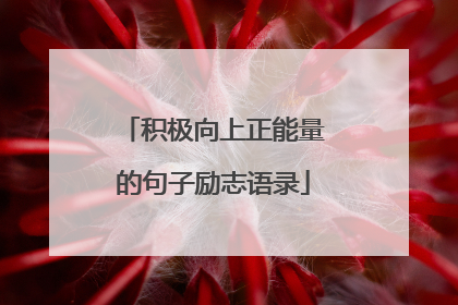 积极向上正能量的句子励志语录