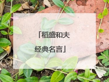 稻盛和夫经典名言
