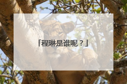 程琳是谁呢?