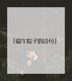 端午粽子的诗句