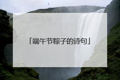 端午节粽子的诗句