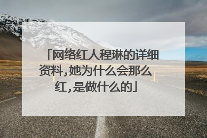 网络红人程琳的详细资料,她为什么会那么红,是做什么的