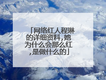 网络红人程琳的详细资料,她为什么会那么红,是做什么的