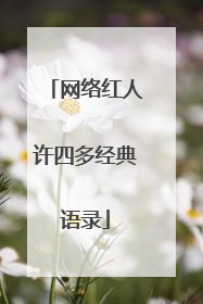 网络红人许四多经典语录