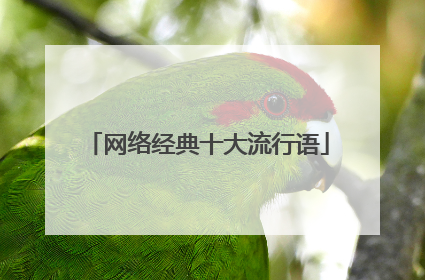 网络经典十大流行语