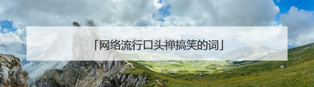 网络流行口头禅搞笑的词