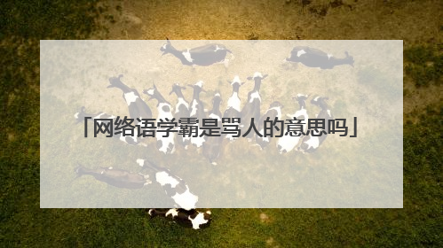 网络语学霸是骂人的意思吗
