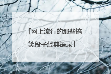 网上流行的那些搞笑段子经典语录