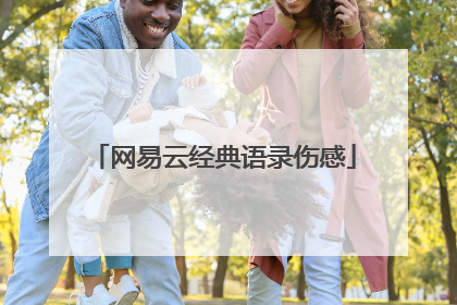 网易云经典语录伤感