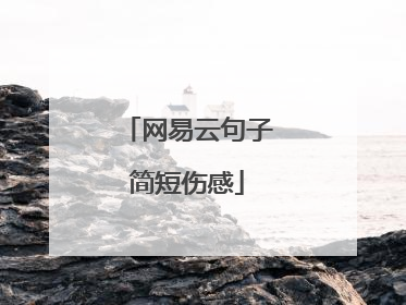 网易云句子简短伤感