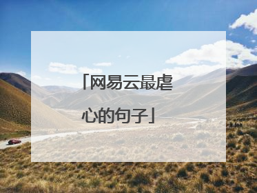 网易云最虐心的句子