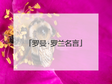 罗曼·罗兰名言