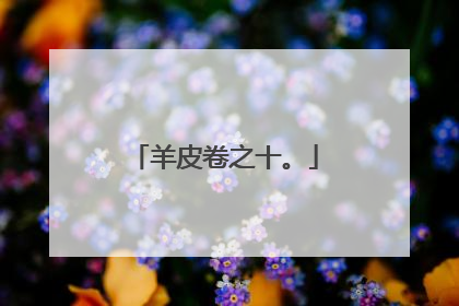 羊皮卷之十。
