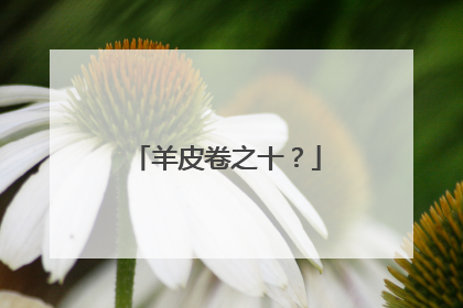 羊皮卷之十?