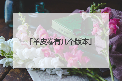 羊皮卷有几个版本