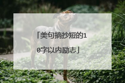 美句摘抄短的10字以内励志