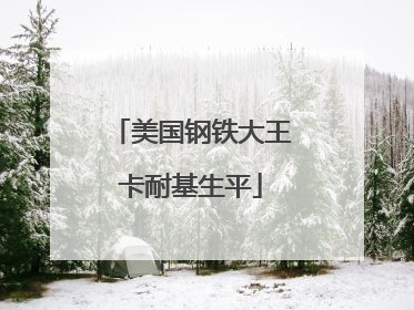 美国钢铁大王卡耐基生平