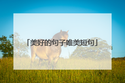 美好的句子唯美短句
