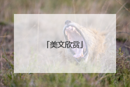 美文欣赏