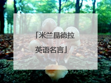 米兰昆德拉英语名言