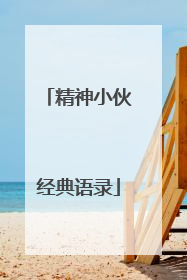 精神小伙经典语录