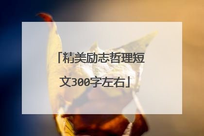 精美励志哲理短文300字左右