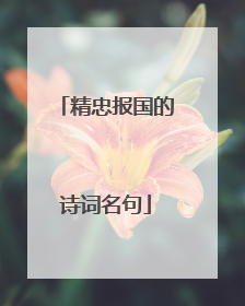 精忠报国的诗词名句