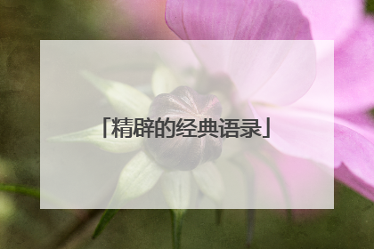 精辟的经典语录