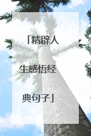 精辟人生感悟经典句子