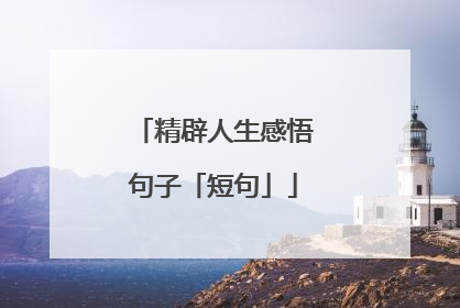 精辟人生感悟句子「短句」