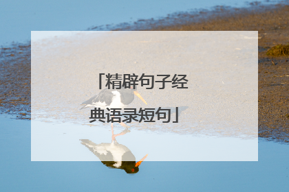 精辟句子经典语录短句