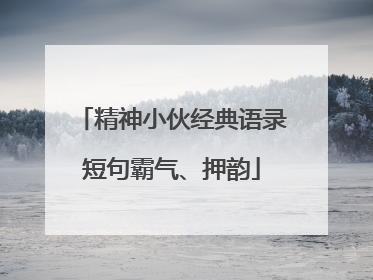 精神小伙经典语录短句霸气、押韵