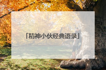 精神小伙经典语录