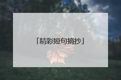 精彩短句摘抄