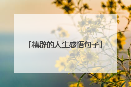 精辟的人生感悟句子