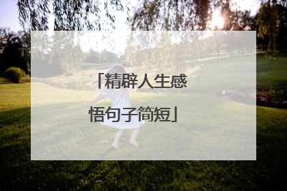 精辟人生感悟句子简短
