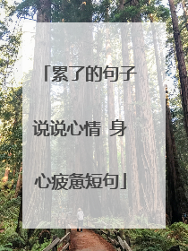 累了的句子说说心情 身心疲惫短句