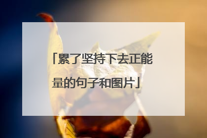 累了坚持下去正能量的句子和图片