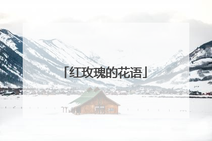 红玫瑰的花语