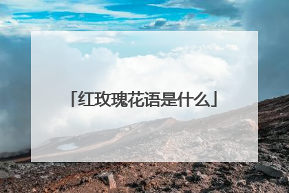 红玫瑰花语是什么
