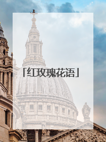 红玫瑰花语
