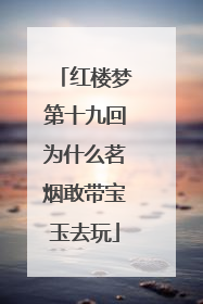 红楼梦第十九回为什么茗烟敢带宝玉去玩