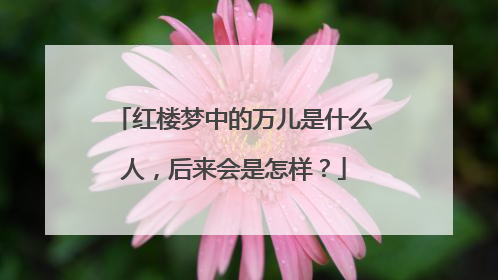 红楼梦中的万儿是什么人,后来会是怎样?