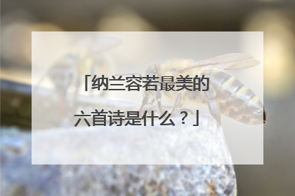 纳兰容若最美的六首诗是什么?