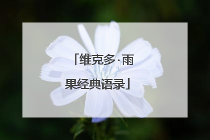维克多·雨果经典语录