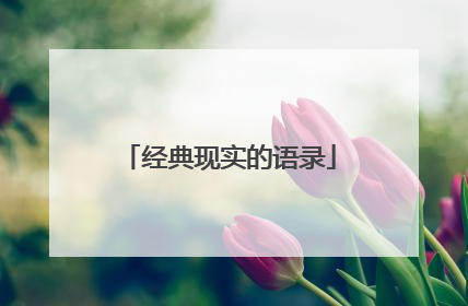 经典现实的语录