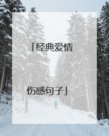 经典爱情伤感句子
