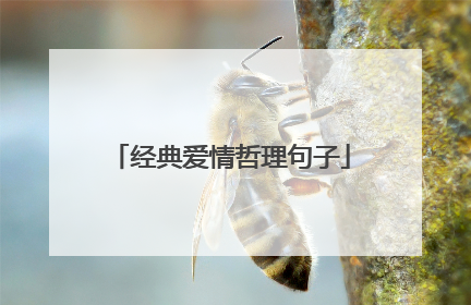 经典爱情哲理句子