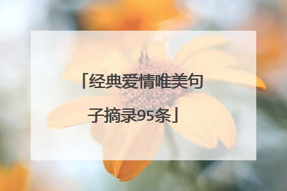 经典爱情唯美句子摘录95条