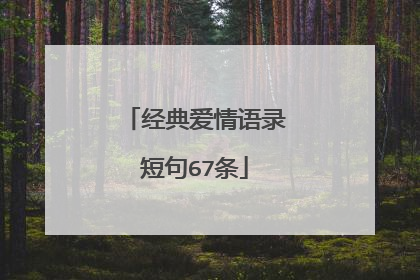经典爱情语录短句67条